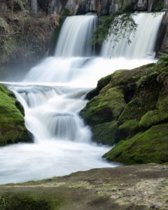 Camas Public Library in Washington chooses Vega Discover