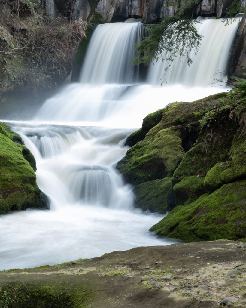 Camas Public Library in Washington chooses Vega Discover