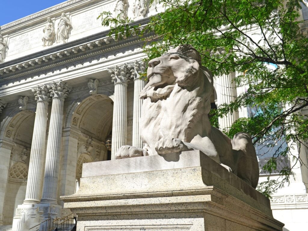 The New York Public Library launches LX Starter